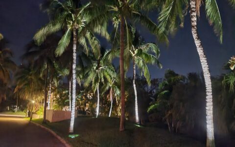 Lanscape-Lighing-Night